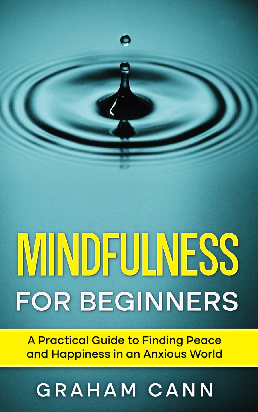 Book Cover Designs - Image 12
